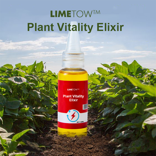 LIMETOW™ Phytovitamin Solution