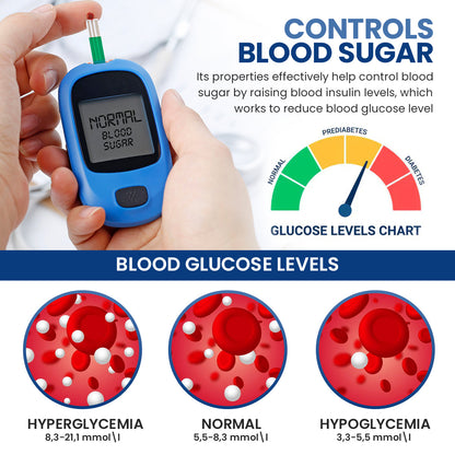 Luhaka™ GlucoCare Sugar Control Patch 🩸